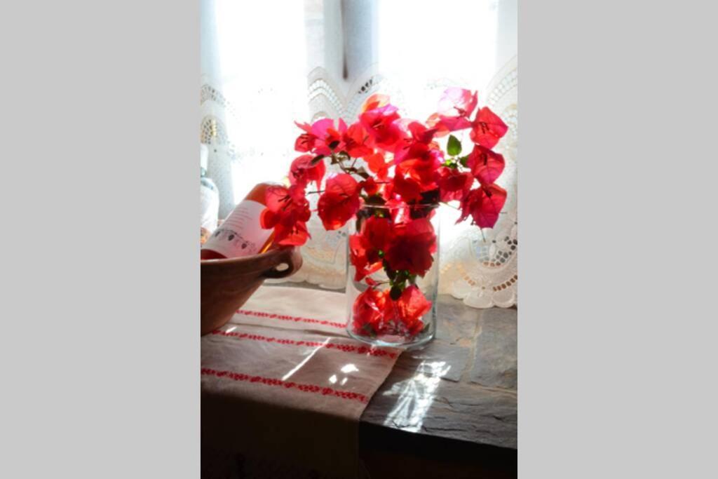 Apiganos House Villa Khoumeriakos ภายนอก รูปภาพ